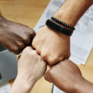 Systemic Individual Therapy