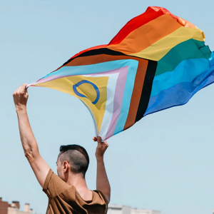 Systemic Individual Therapy